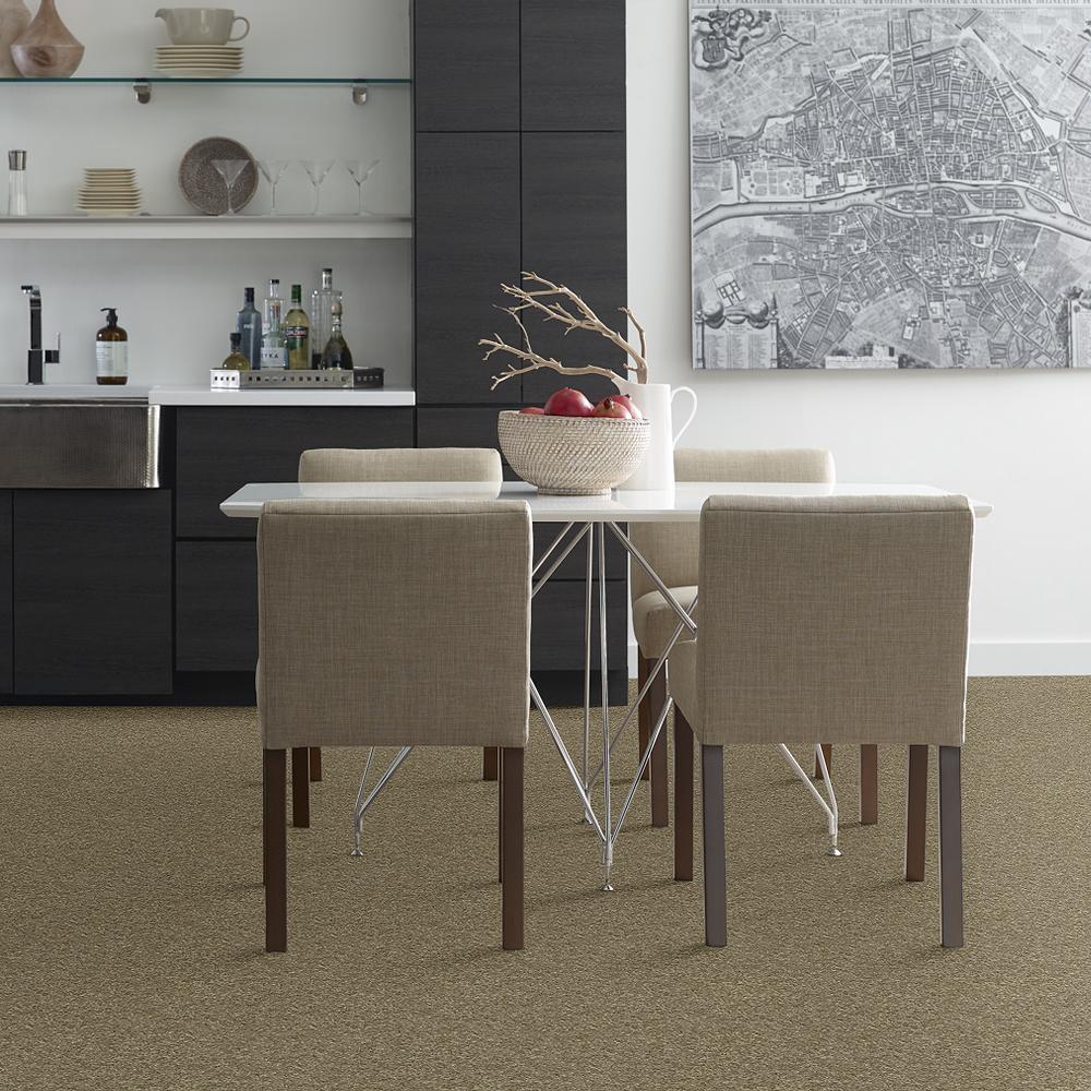 STAINMASTER PetProtect Baxter IV Dachshund Textured Carpet (Indoor, 12-ft Roll Width)