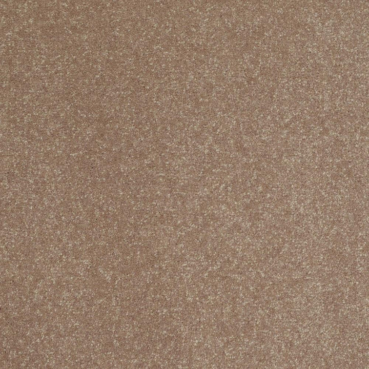 STAINMASTER Essentials Intuition I 12-ft Wheat Bread Textured Carpet Sample (Interior)