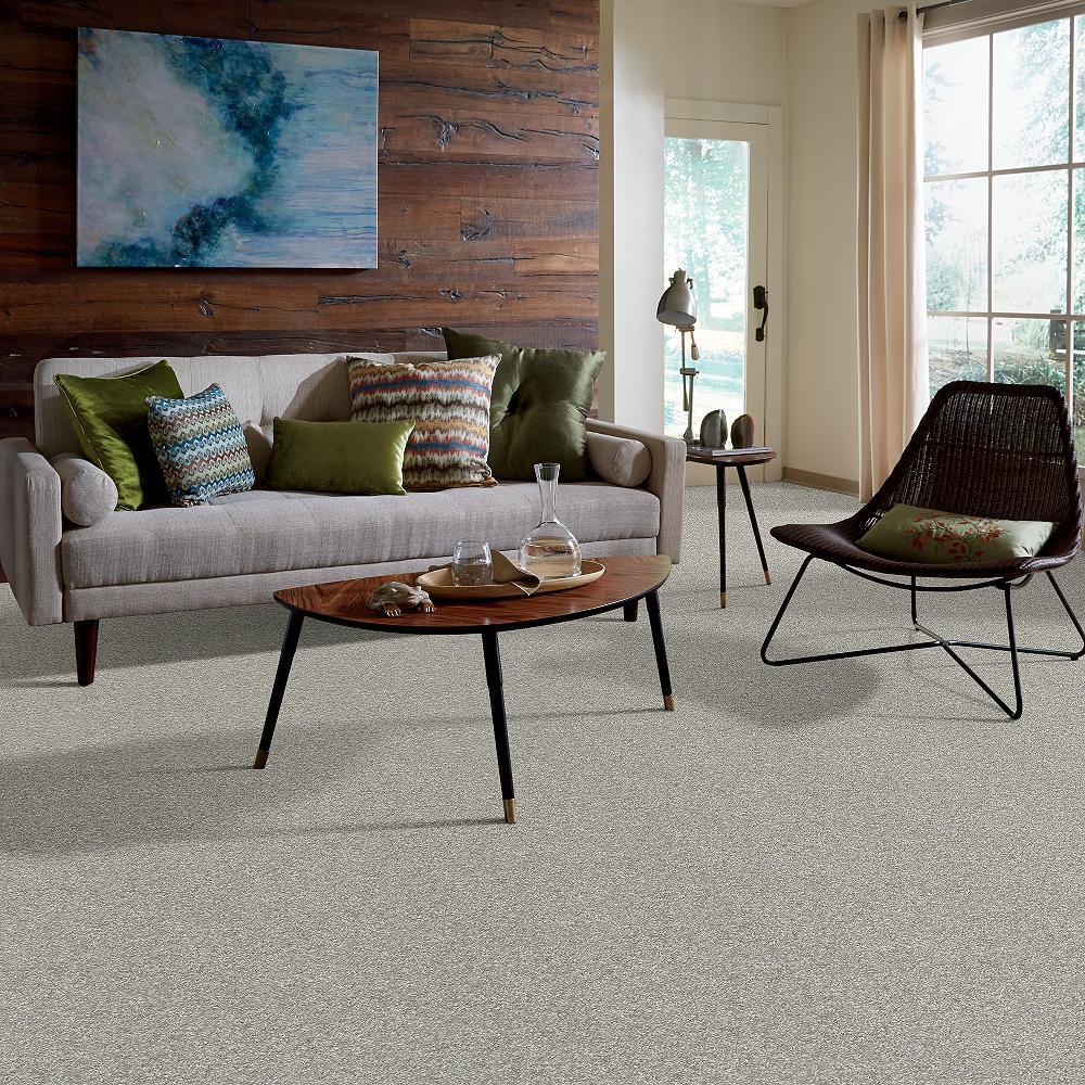 STAINMASTER PetProtect Baxter I Trixie Textured Carpet (Indoor), 12-ft Roll Width