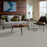 STAINMASTER PetProtect Baxter I Trixie Textured Carpet (Indoor), 12-ft Roll Width