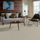 STAINMASTER PetProtect Baxter III Harley Textured Indoor Carpet, 12-ft Roll Width