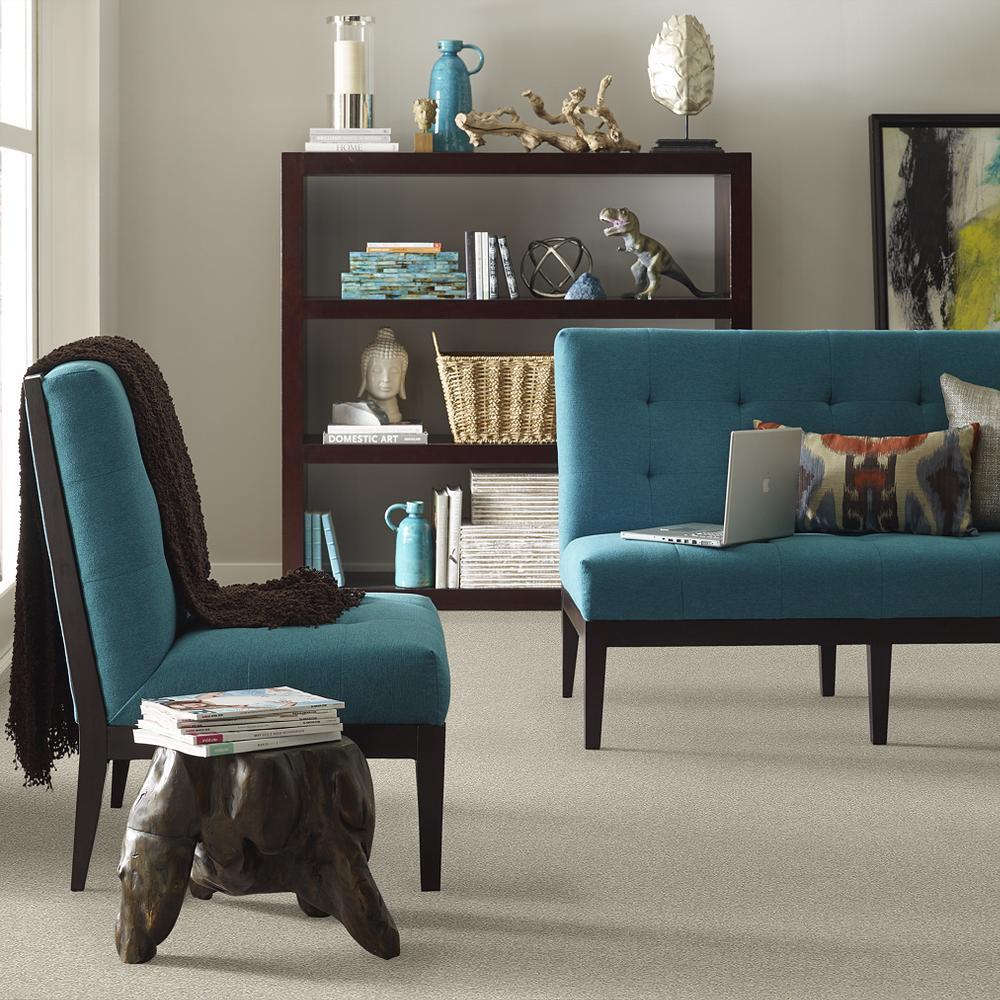 STAINMASTER PetProtect Baxter III Harley Textured Indoor Carpet, 12-ft Roll Width