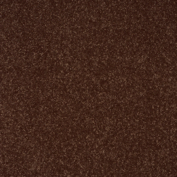 STAINMASTER Essentials Intuition III 12-ft Raisin Textured Carpet Sample (Interior)