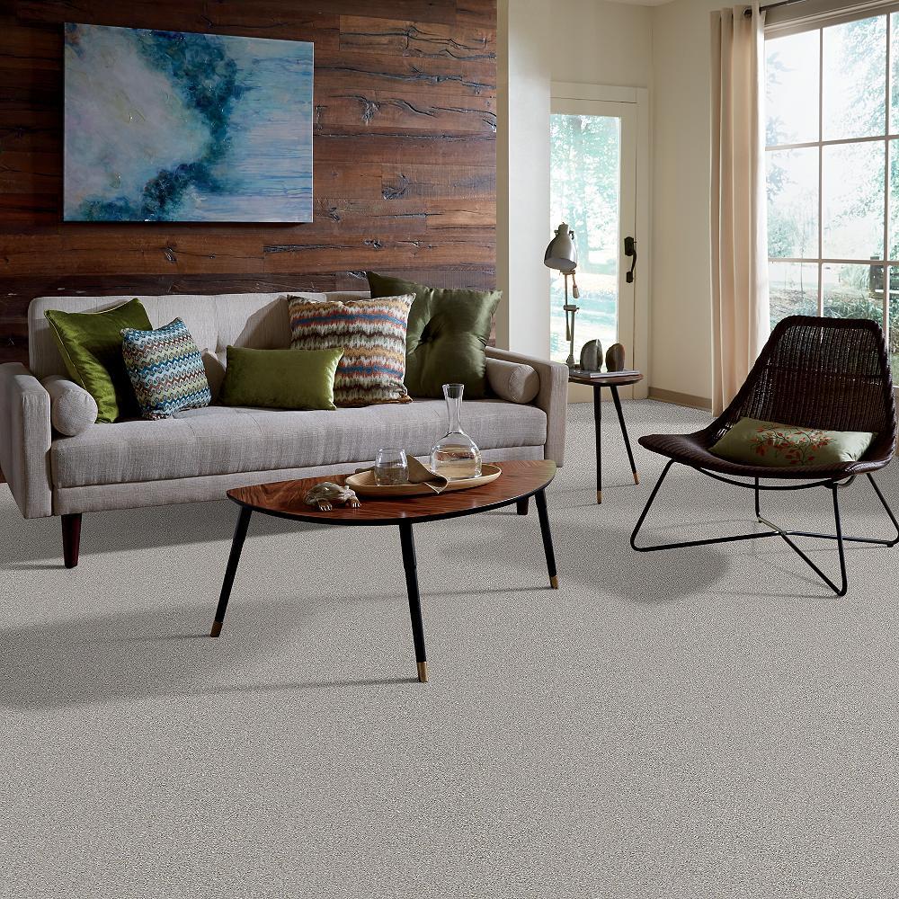 STAINMASTER PetProtect Baxter II Gizmo Textured Indoor Carpet, 12-ft Roll Width
