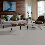 STAINMASTER PetProtect Baxter II Gizmo Textured Indoor Carpet, 12-ft Roll Width