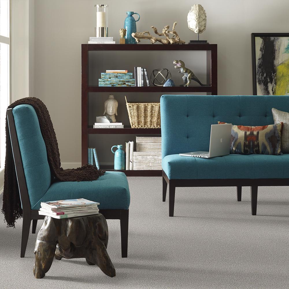 STAINMASTER PetProtect Baxter II Gizmo Textured Indoor Carpet, 12-ft Roll Width