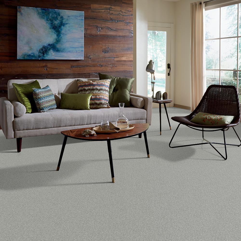 STAINMASTER PetProtect Baxter I Bobo Textured Indoor Carpet, 12-ft Roll Width