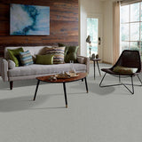 STAINMASTER PetProtect Baxter I Bobo Textured Indoor Carpet, 12-ft Roll Width