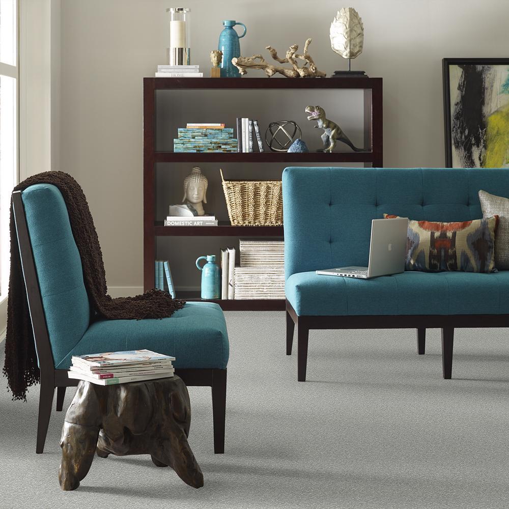 STAINMASTER PetProtect Baxter II Bobo Textured Carpet (Indoor)
