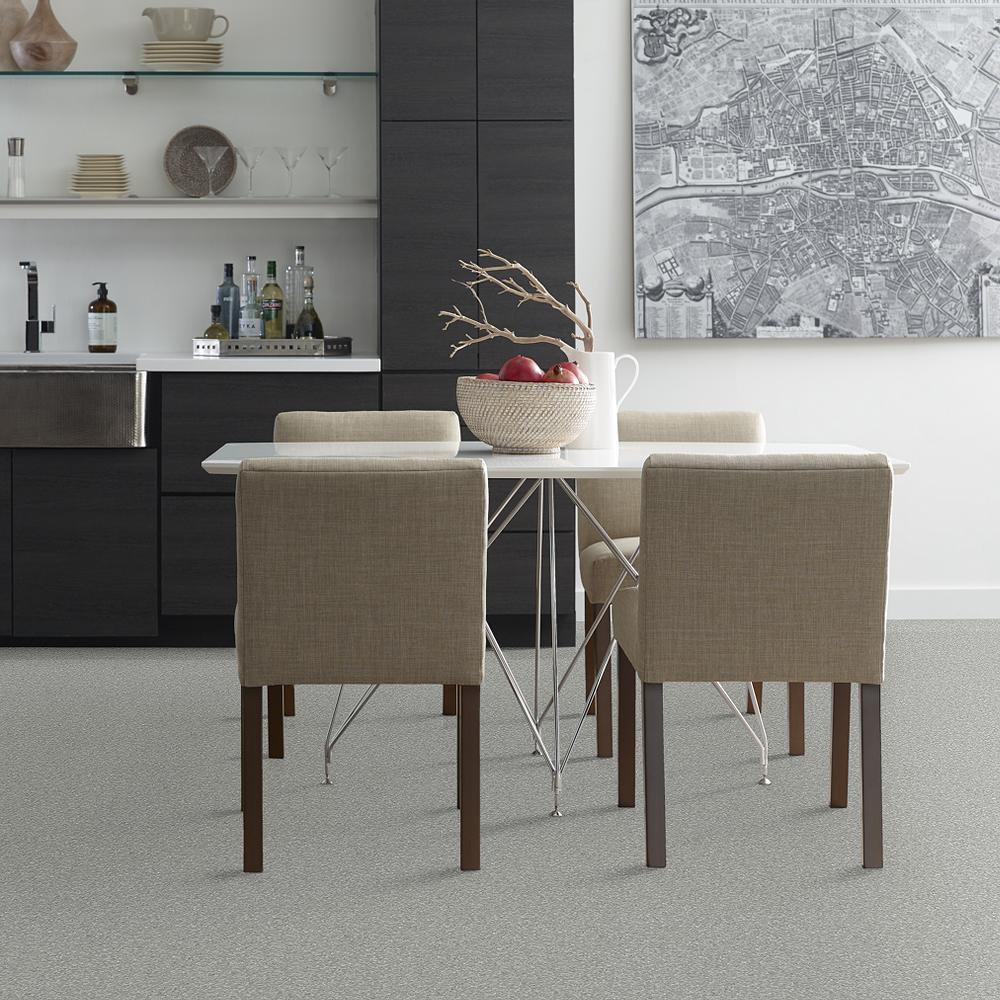 STAINMASTER PetProtect Baxter I Bobo Textured Indoor Carpet, 12-ft Roll Width