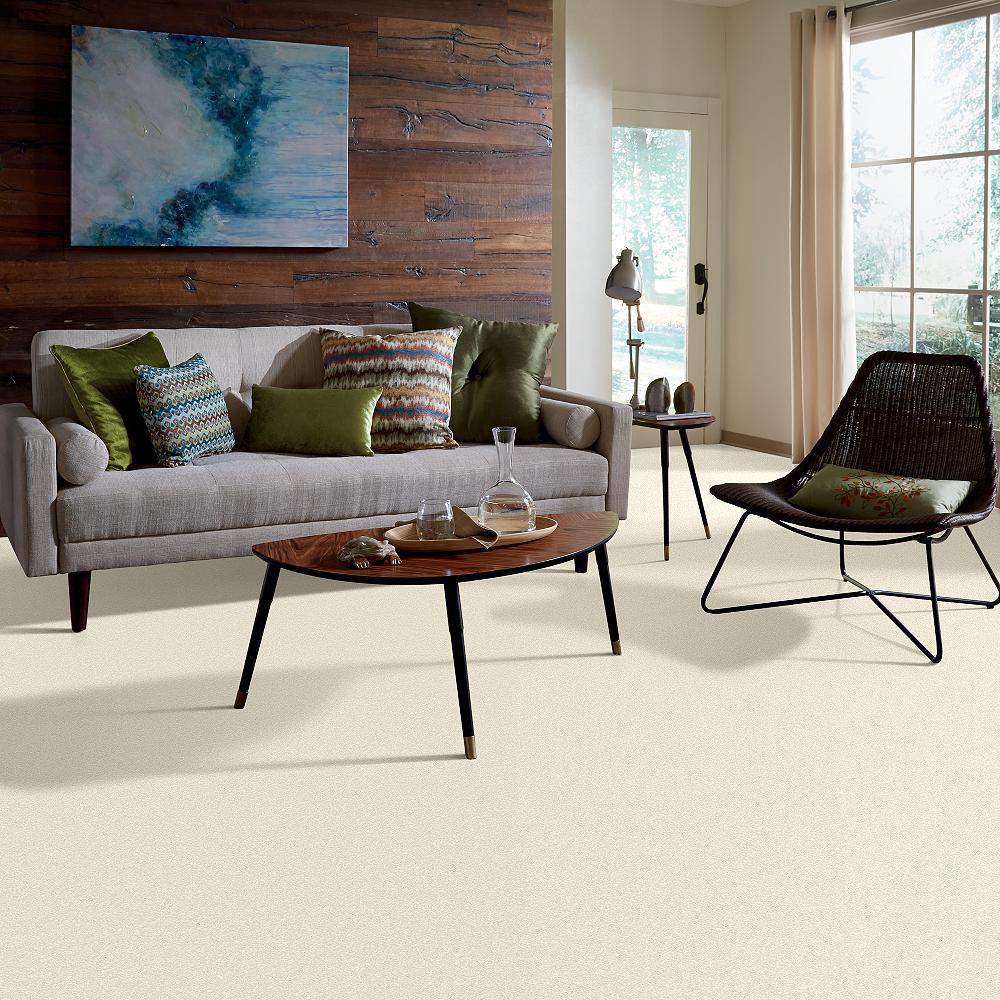 STAINMASTER PetProtect Baxter I Lucy Textured Indoor Carpet, 12-ft Roll Width