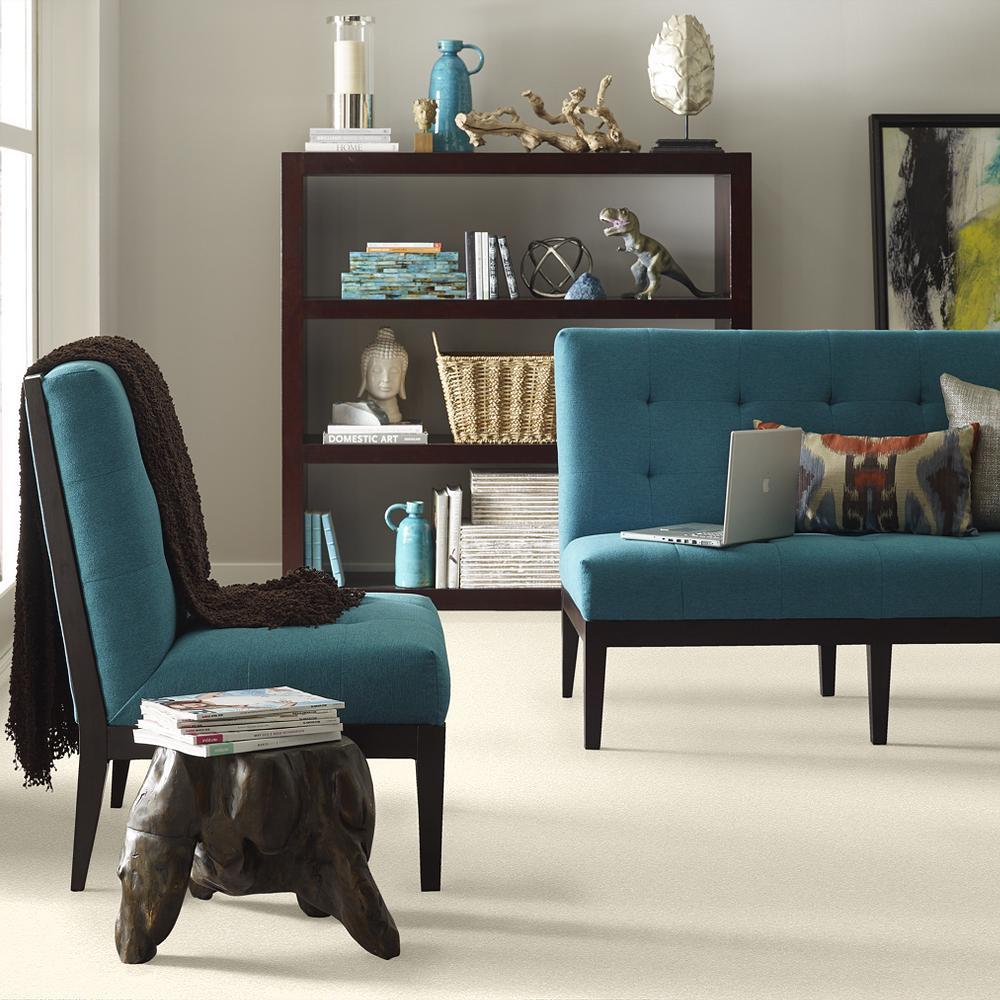 STAINMASTER PetProtect Baxter I Lucy Textured Indoor Carpet, 12-ft Roll Width