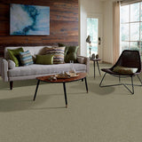 STAINMASTER PetProtect Baxter I Buddy Textured Indoor Carpet, 12-ft Roll Width