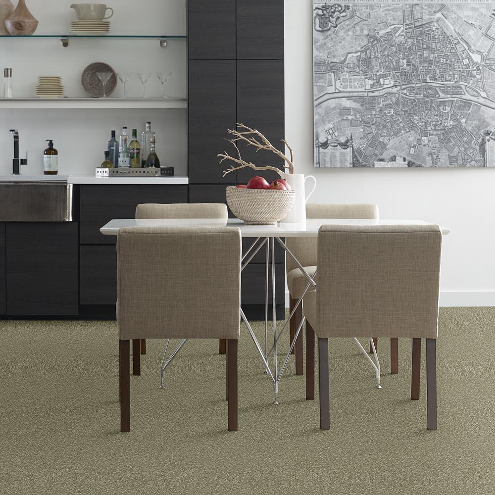 STAINMASTER PetProtect Baxter I Buddy Textured Indoor Carpet, 12-ft Roll Width