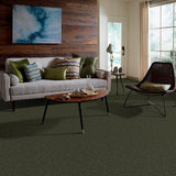 STAINMASTER Essentials Intuition II 15-ft Passion Vine Textured Indoor Carpet