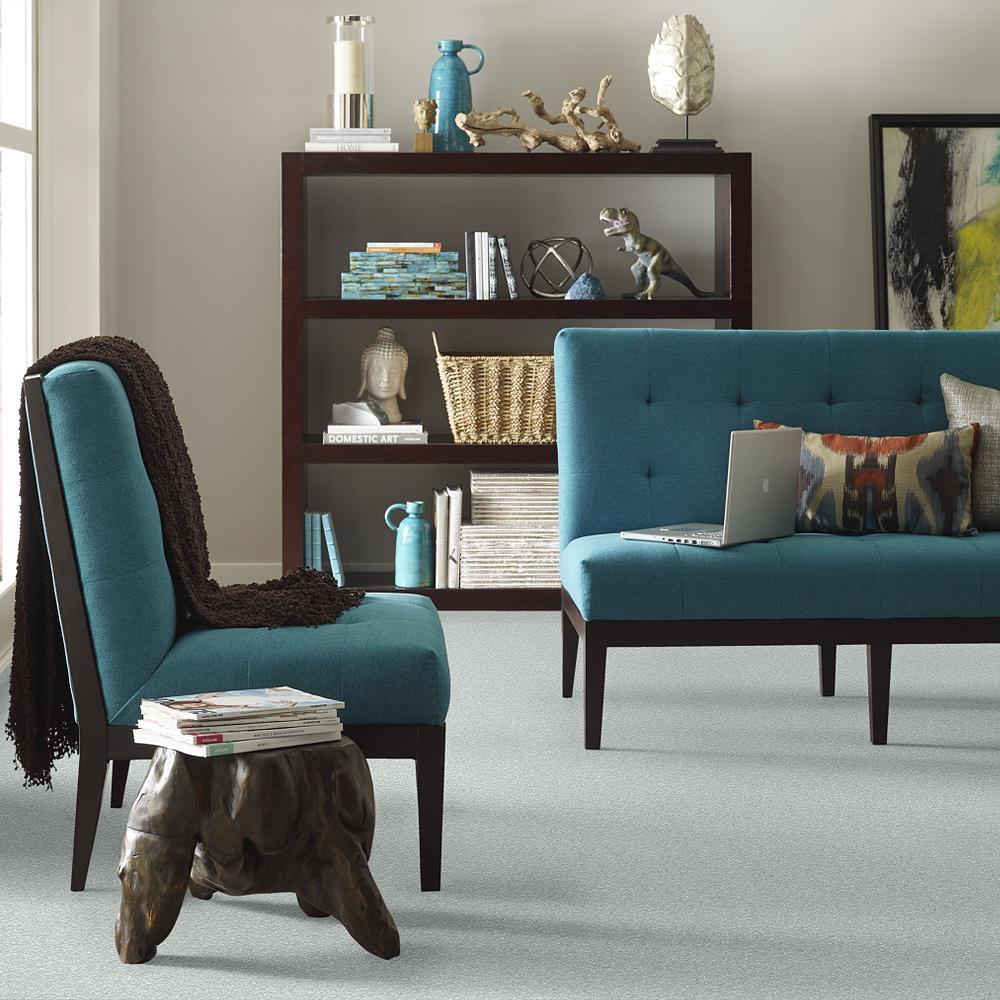 STAINMASTER PetProtect Baxter I Retriever Textured Indoor Carpet, 12-ft Roll Width
