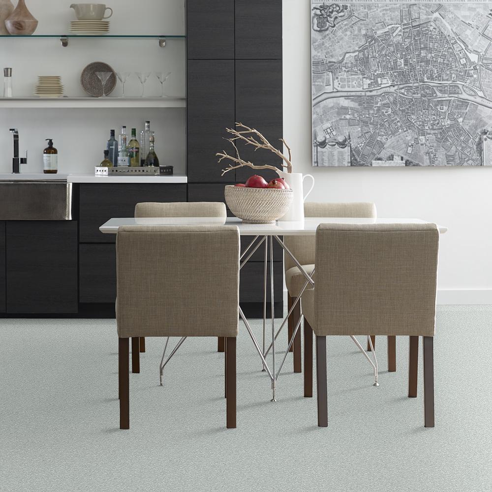 STAINMASTER PetProtect Baxter I Retriever Textured Indoor Carpet, 12-ft Roll Width