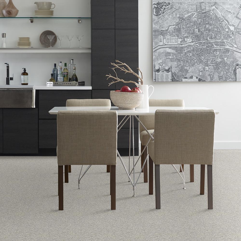 STAINMASTER PetProtect Baxter I Gizmo Textured Indoor Carpet, 12-ft Roll Width