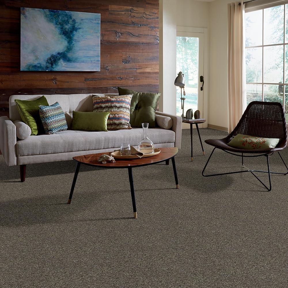STAINMASTER PetProtect Baxter I Doberman Textured Carpet (Indoor) - 12-ft Roll Width