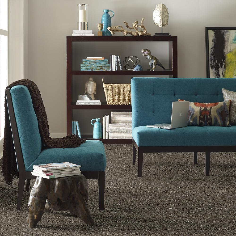 STAINMASTER PetProtect Baxter I Doberman Textured Carpet (Indoor) - 12-ft Roll Width