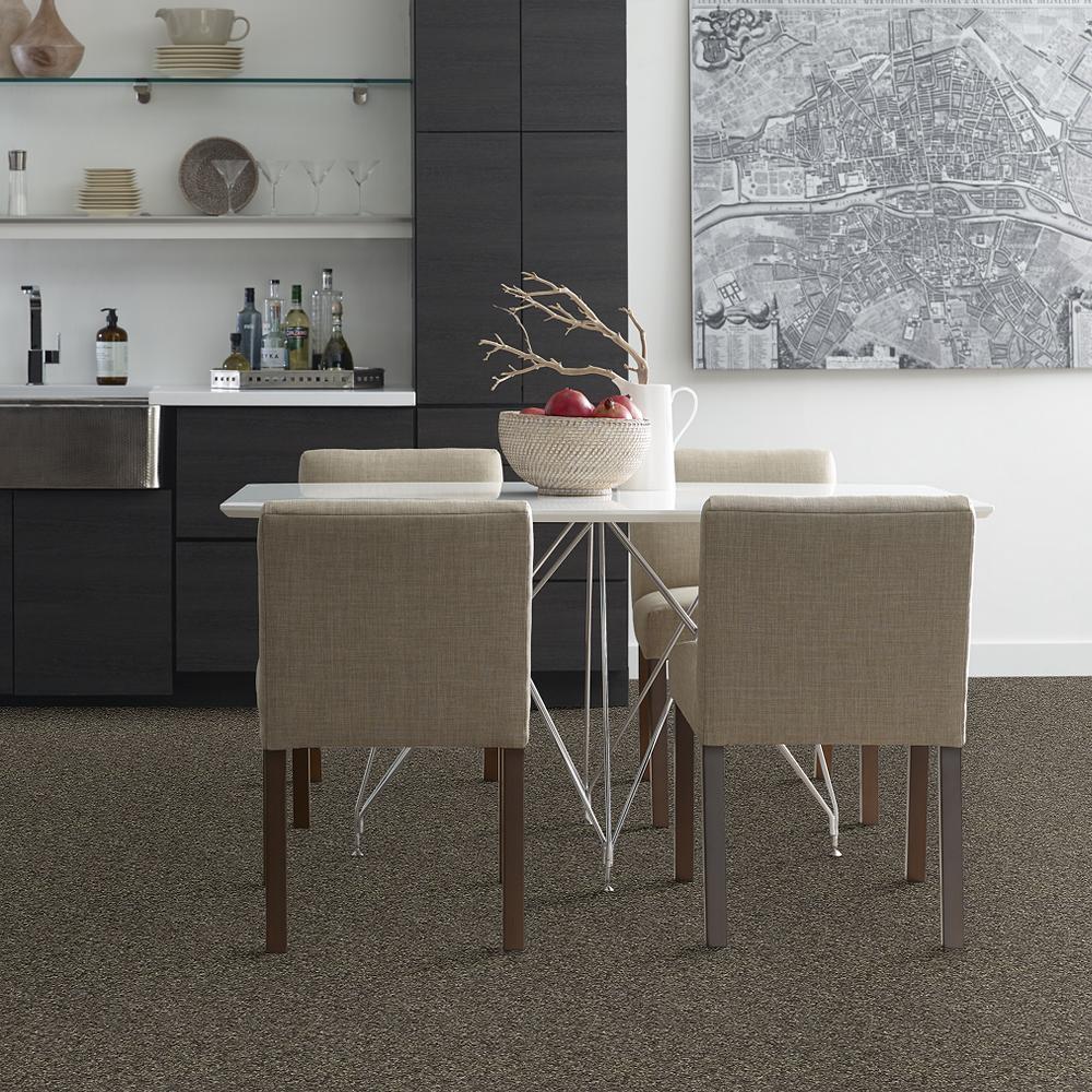 STAINMASTER PetProtect Baxter I Doberman Textured Carpet (Indoor) - 12-ft Roll Width