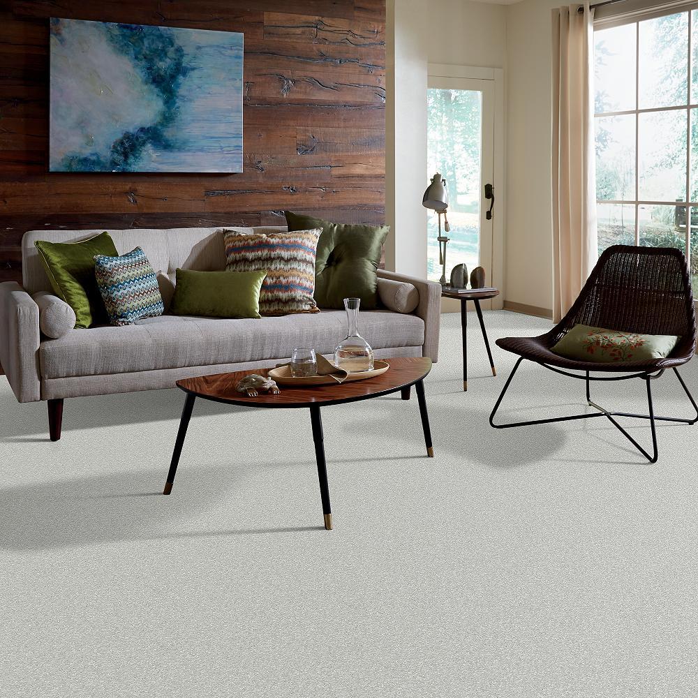 STAINMASTER PetProtect Baxter I Mac Textured Carpet (Indoor) — 12-ft Roll Width