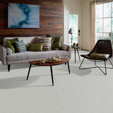 STAINMASTER PetProtect Baxter I Mac Textured Carpet (Indoor) — 12-ft Roll Width