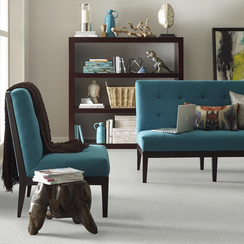STAINMASTER PetProtect Baxter I Mac Textured Carpet (Indoor) — 12-ft Roll Width