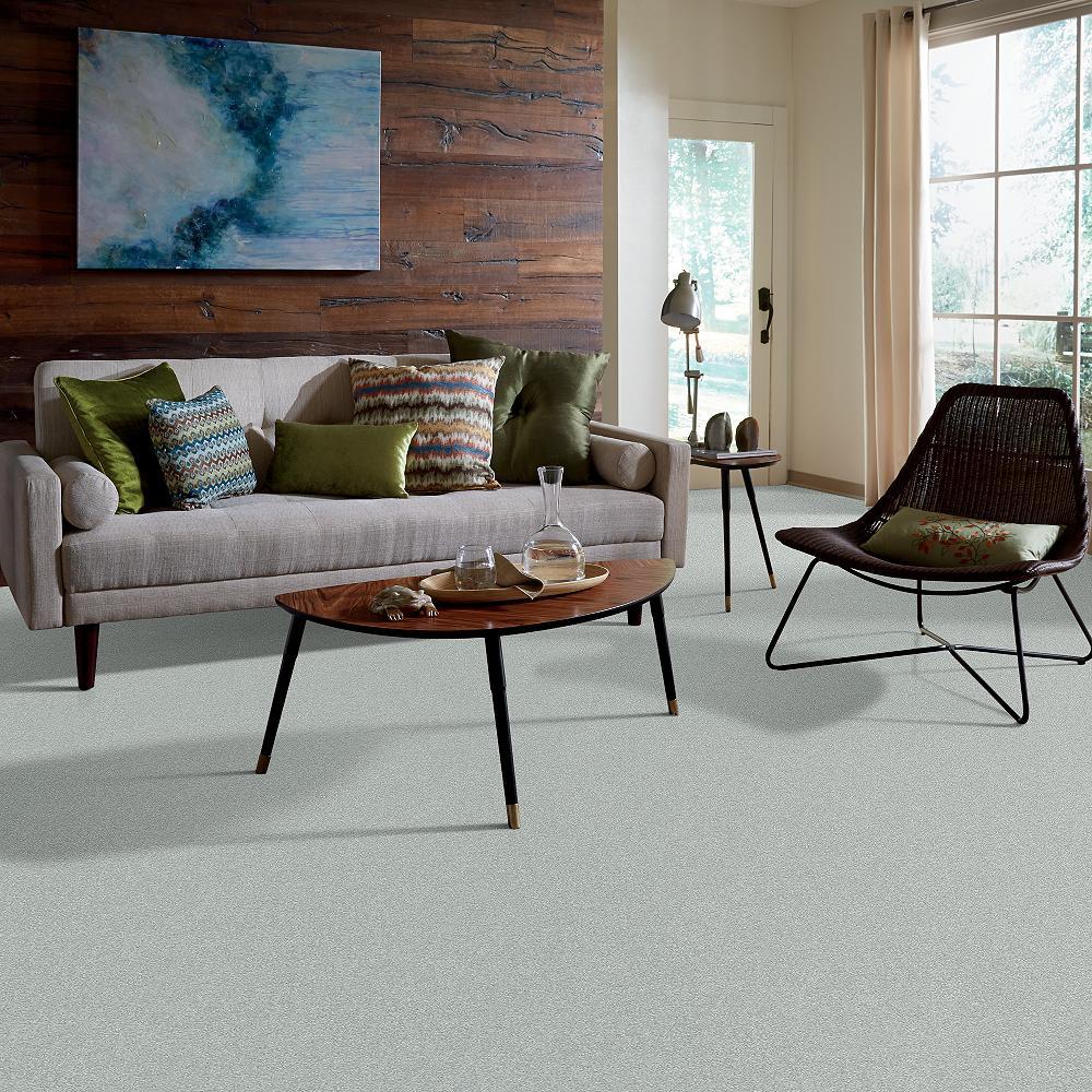STAINMASTER PetProtect Baxter III Rex Textured Indoor Carpet, 12-ft Roll Width