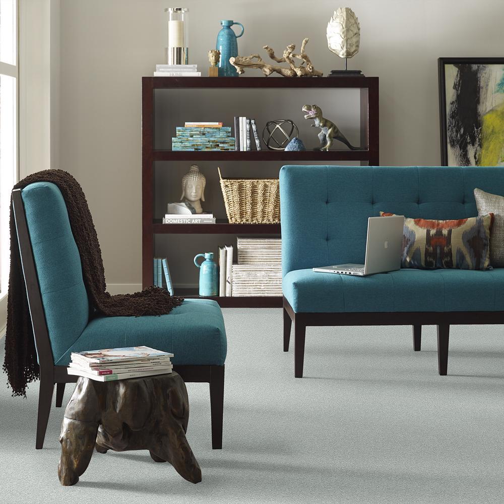 STAINMASTER PetProtect Baxter III Rex Textured Indoor Carpet, 12-ft Roll Width