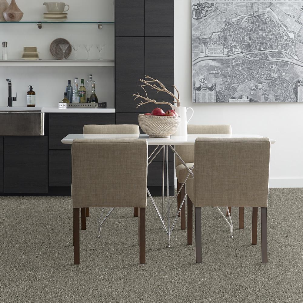 STAINMASTER PetProtect Baxter II Bentley Textured Indoor Carpet, 12-ft Roll Width