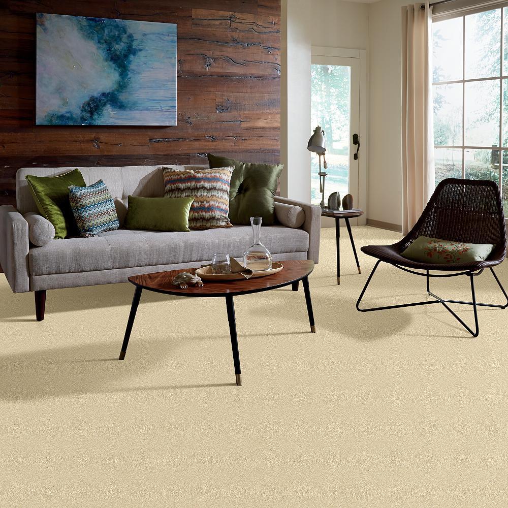 STAINMASTER PetProtect Baxter I Spaniel Textured Indoor Carpet, 12-ft Width