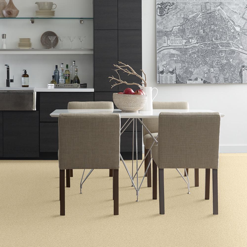 STAINMASTER PetProtect Baxter I Spaniel Textured Indoor Carpet, 12-ft Width