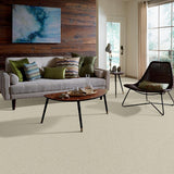 STAINMASTER PetProtect Baxter I Sadie Textured Indoor Carpet, 12-ft Roll Width
