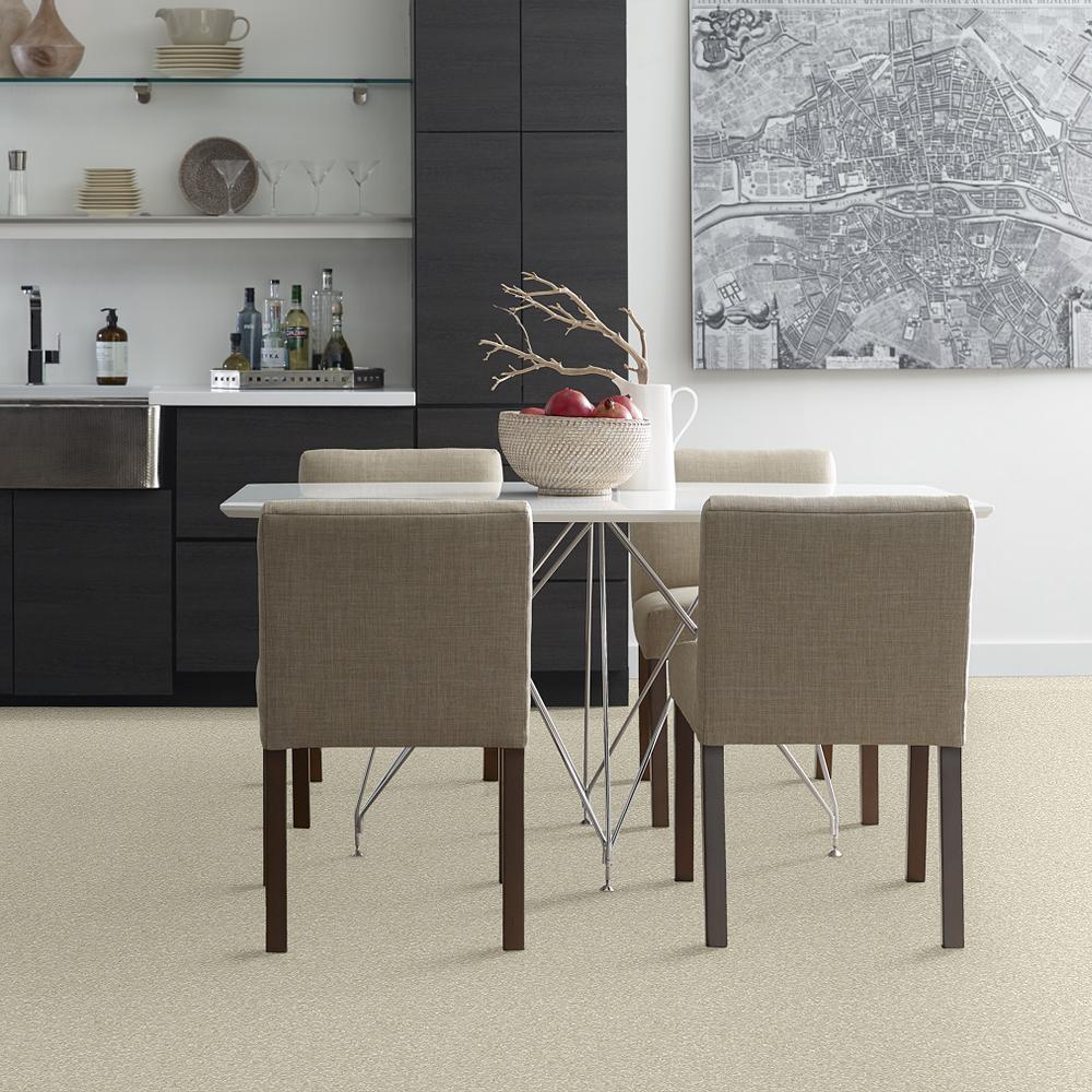 STAINMASTER PetProtect Baxter I Sadie Textured Indoor Carpet, 12-ft Roll Width