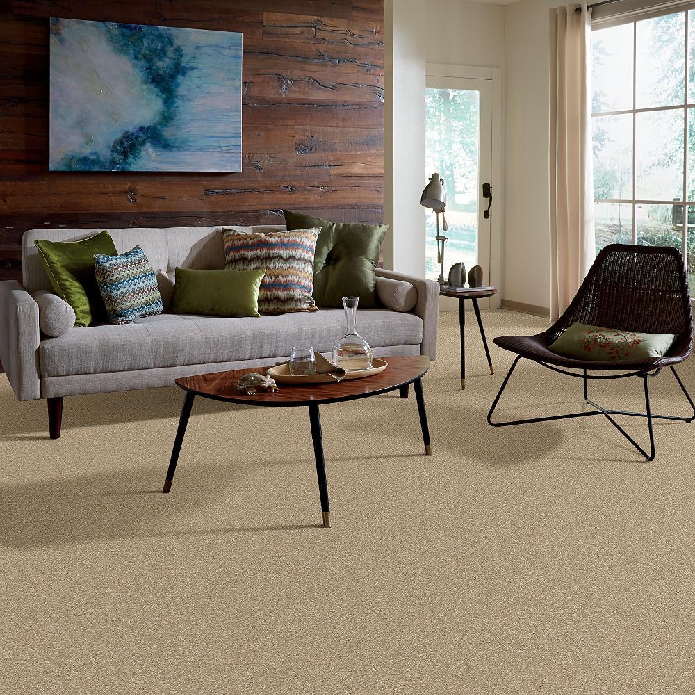 STAINMASTER PetProtect Baxter IV Boxer Textured Carpet (Indoor, 12-ft Roll Width)