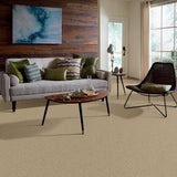 STAINMASTER PetProtect Baxter IV Boxer Textured Carpet (Indoor, 12-ft Roll Width)