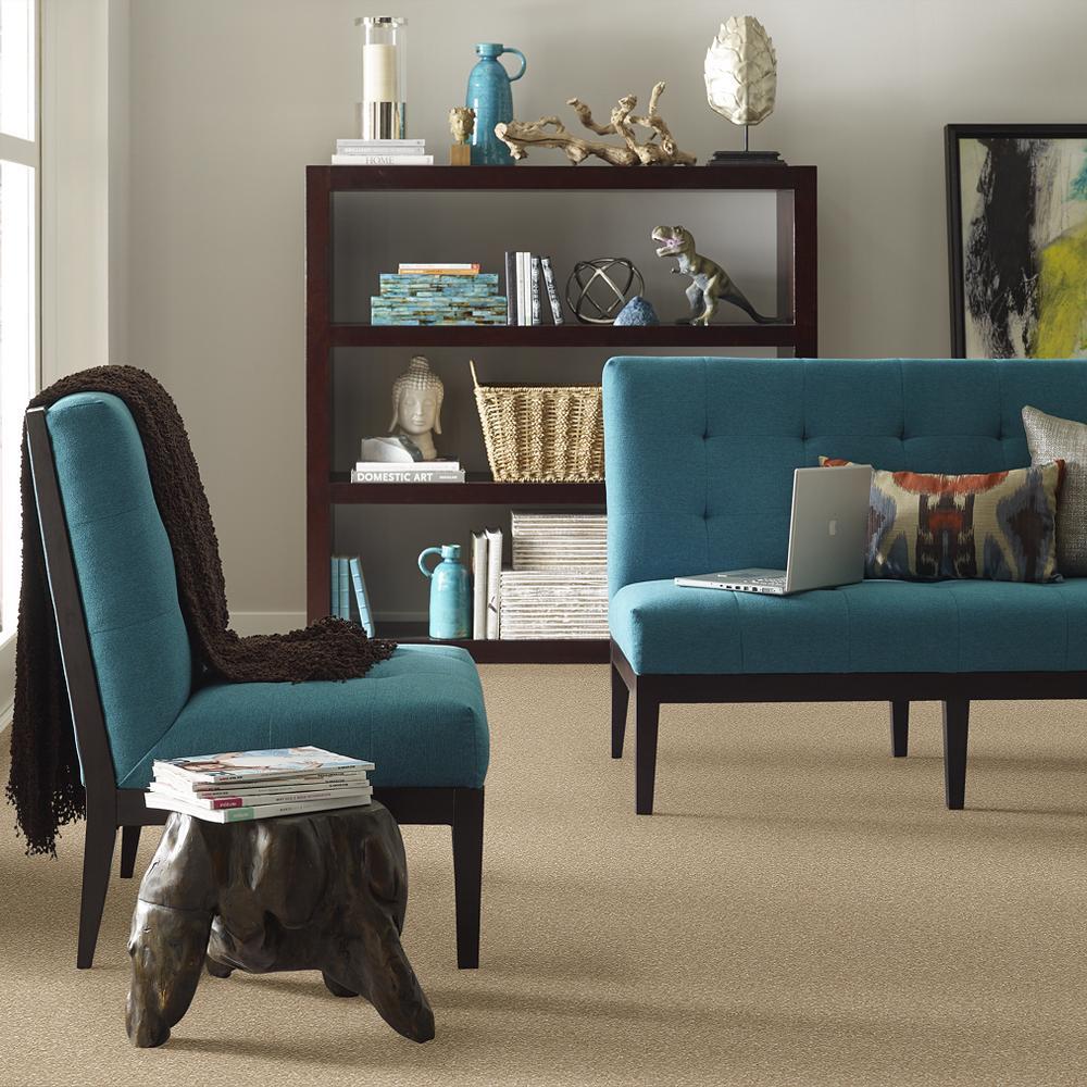 STAINMASTER PetProtect Baxter IV Boxer Textured Carpet (Indoor, 12-ft Roll Width)