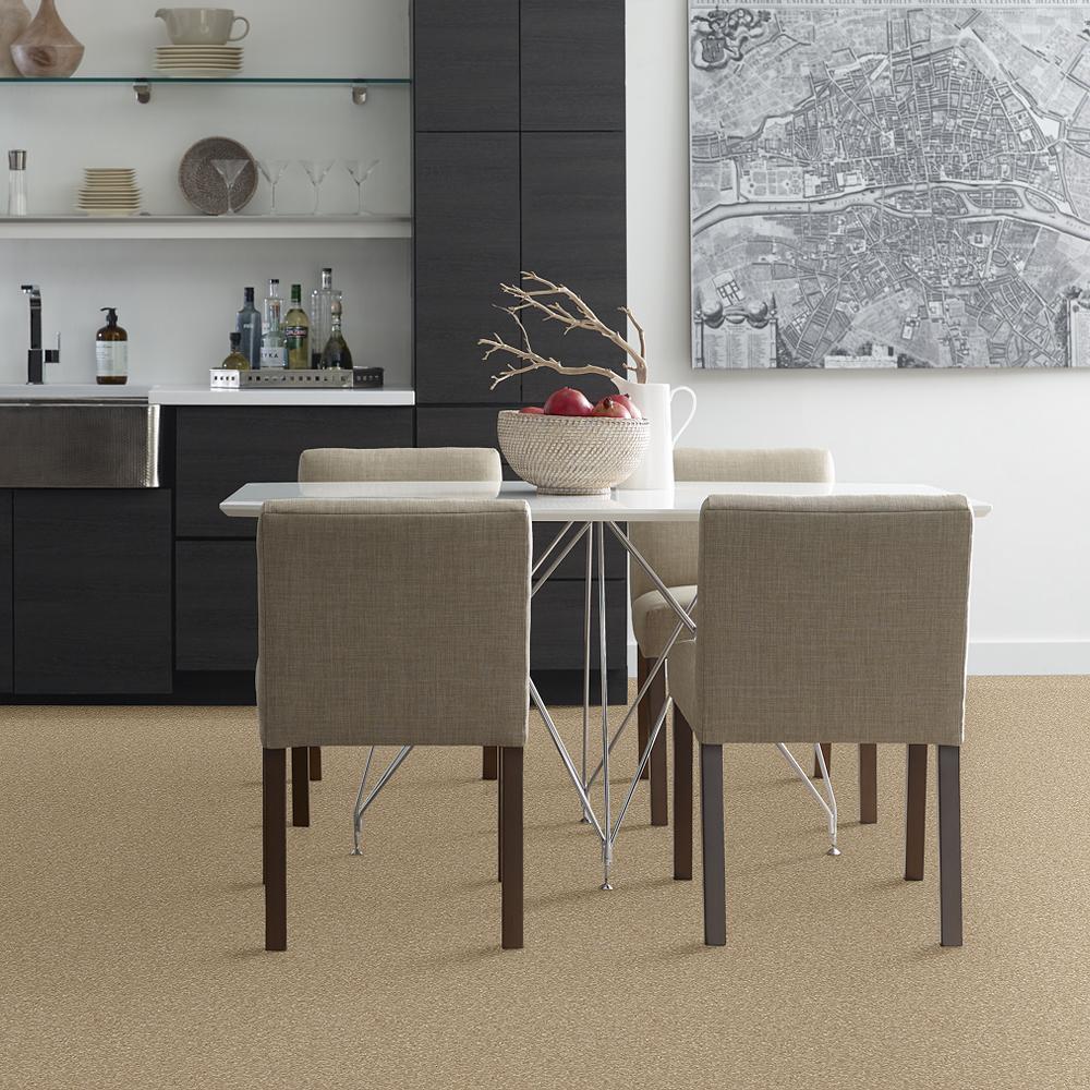 STAINMASTER PetProtect Baxter IV Boxer Textured Carpet (Indoor, 12-ft Roll Width)
