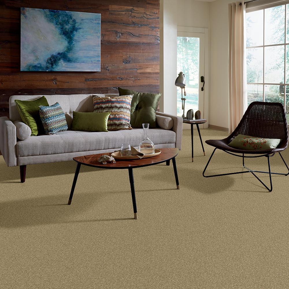 STAINMASTER PetProtect Baxter I Molly Textured Carpet (Indoor, 12-ft Roll Width)