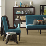 STAINMASTER PetProtect Baxter I Molly Textured Carpet (Indoor, 12-ft Roll Width)