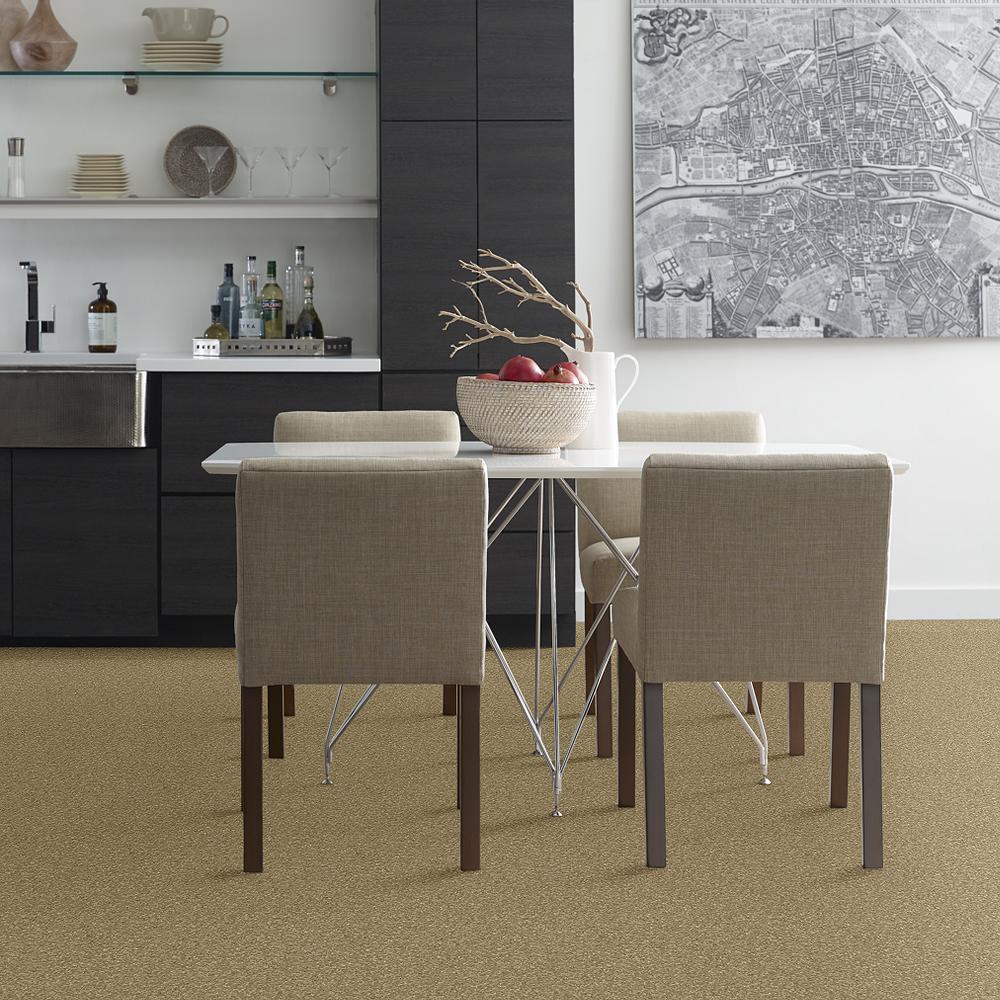 STAINMASTER PetProtect Baxter I Molly Textured Carpet (Indoor, 12-ft Roll Width)