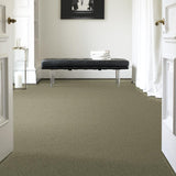 STAINMASTER PetProtect Baxter I Buddy Textured Indoor Carpet, 12-ft Roll Width