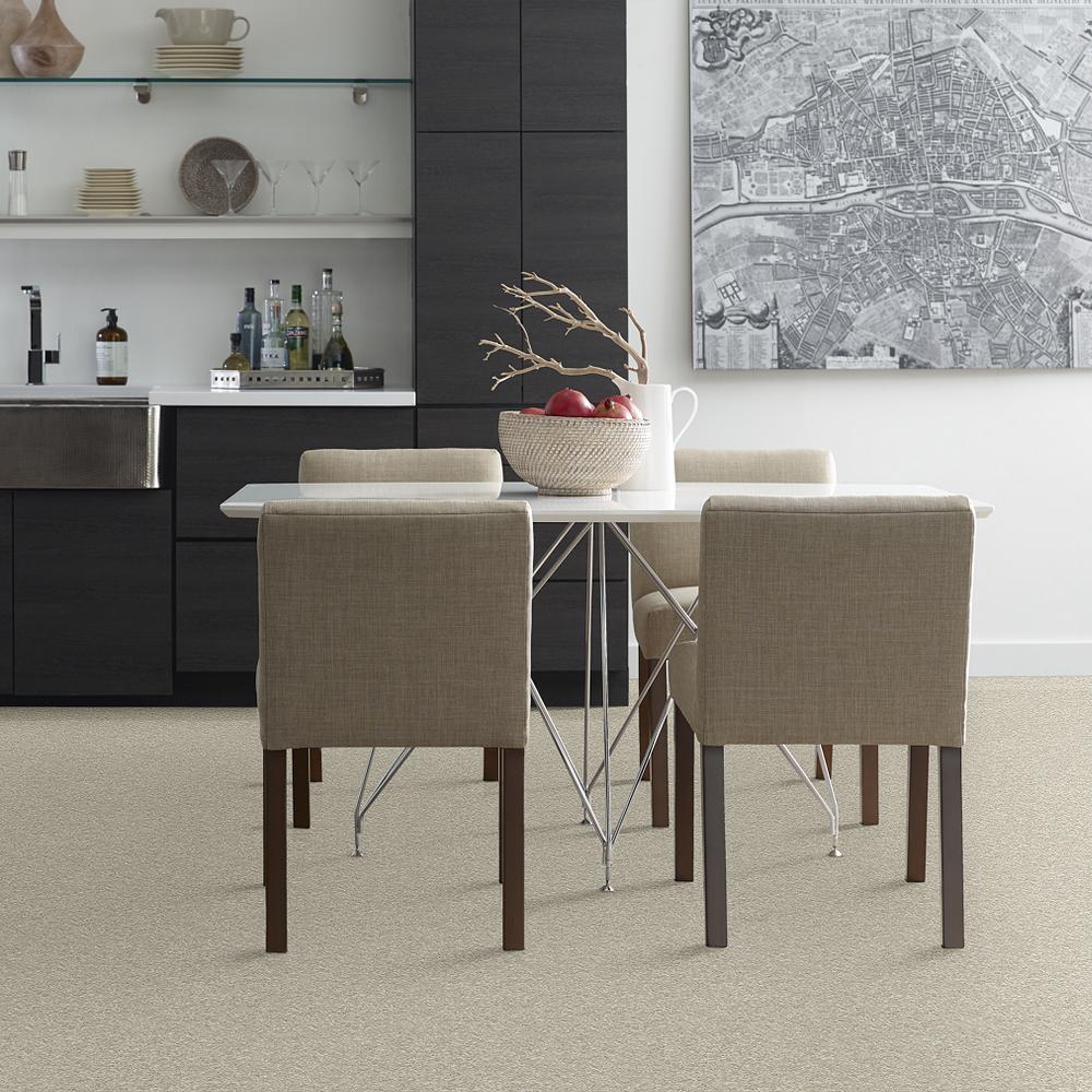 STAINMASTER PetProtect Baxter III Marmaduke Textured Indoor Carpet - 12-ft Roll Width