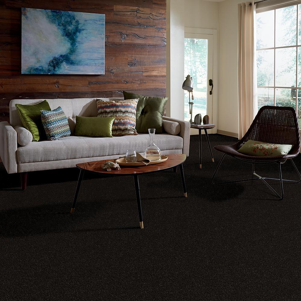 STAINMASTER PetProtect Baxter II Bear Textured Carpet (Indoor), 12-ft Roll Width