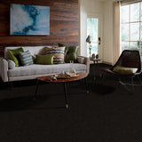 STAINMASTER PetProtect Baxter II Bear Textured Carpet (Indoor), 12-ft Roll Width