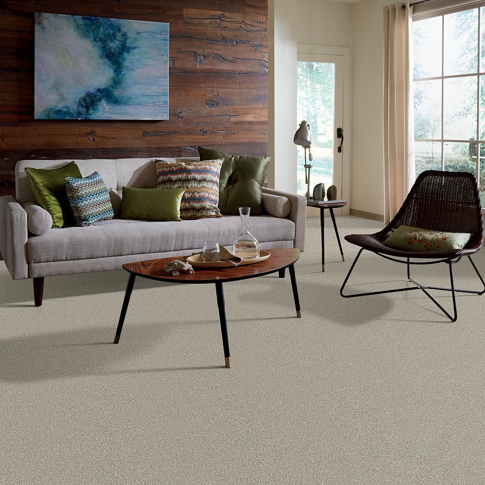 STAINMASTER PetProtect Baxter II Marmaduke Textured Carpet (Indoor, 12-ft Roll Width)