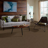 STAINMASTER PetProtect Baxter II Labrador Textured Carpet (Indoor) - 12-ft Roll Width