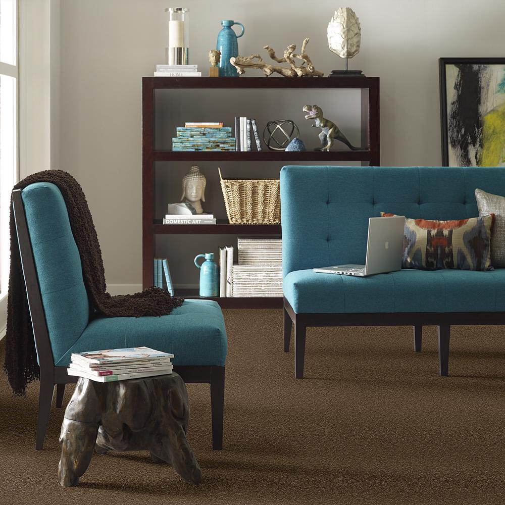 STAINMASTER PetProtect Baxter II Labrador Textured Carpet (Indoor) - 12-ft Roll Width