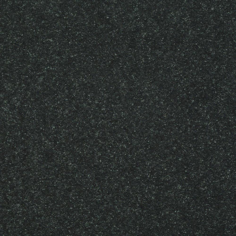 STAINMASTER Essentials Intuition I 12-ft Charcoal Textured Carpet Sample (Interior)